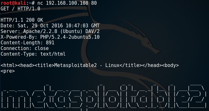 netcat_offensive_network_pentesting